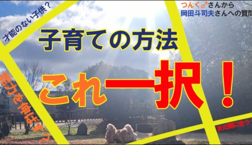 「つんく♂さんから岡田斗司夫さんへの質問動画」を見て子育て方法の話