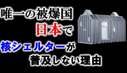 【戦争】なぜ日本では核シェルターが普及しないのか？【 岡田斗司夫 オタキング サイコパス 切り抜き ゼミ 原爆 広島 長崎 核兵器 】
