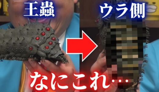 【閲覧注意】王蟲のお腹、見たことある…？｜風の谷のナウシカ【岡田斗司夫切り抜き】