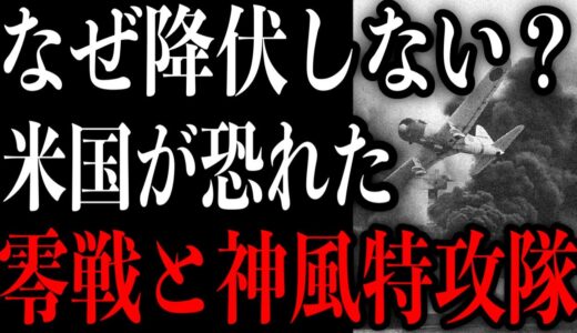 【第二次世界大戦】アメリカ人に恐怖を与えた太平洋戦争での日本の神風特攻隊。そして、堀越二郎が生涯、命を懸けて作った「零戦」の凄さ。【岡田斗司夫 切り抜き】