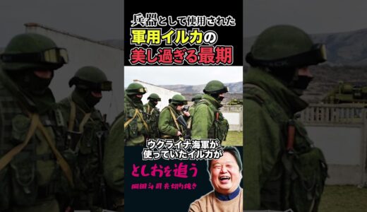 【岡田斗司夫】軍用イルカの美し過ぎる最期に全国民が涙【岡田斗司夫切り抜き/切り取り/サイコパスおじさん/ウクライナ/ロシア/戦争】#shorts