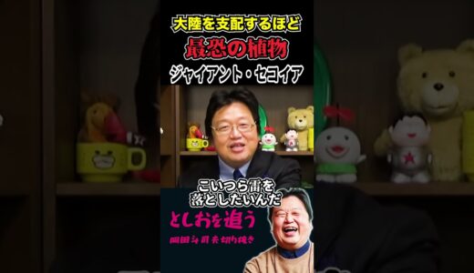 【岡田斗司夫】〇〇を呼び寄せる巨大植物が恐ろし過ぎる【岡田斗司夫切り抜き/切り取り/サイコパスおじさん/都市伝説】#shorts