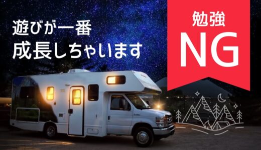 【岡田斗司夫も認める】遊びが成長に最も効果的だった。