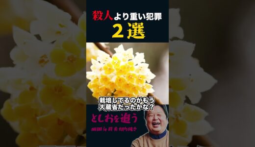 【岡田斗司夫】日本で最も重い犯罪2選【岡田斗司夫切り抜き/切り取り/サイコパスおじさん】#shorts