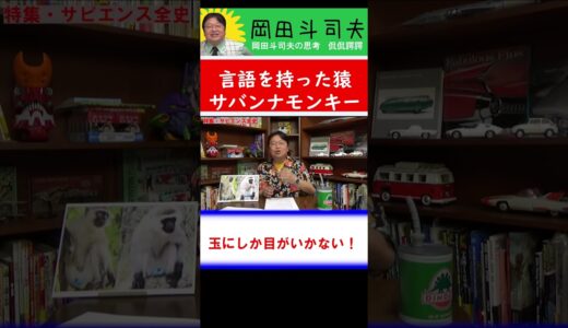 【アフリカのサバンナモンキー】言語をもった猿【玉にしか目がいかない！！】 #Shorts