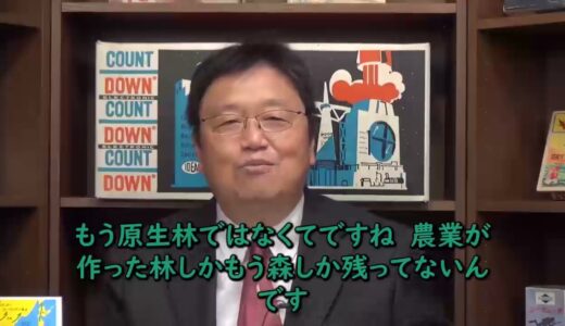 【となりのトトロ】トトロがしゃべれないわけとは
