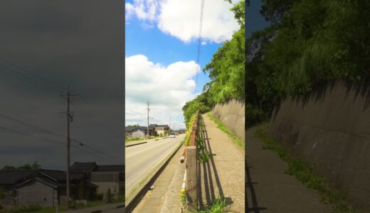 去年までとは違うところで夏の真っ只中にいる#田舎ぐらし  #田舎の風景  #スローライフ #japanesecountryside #nature #ghibli #slowliving