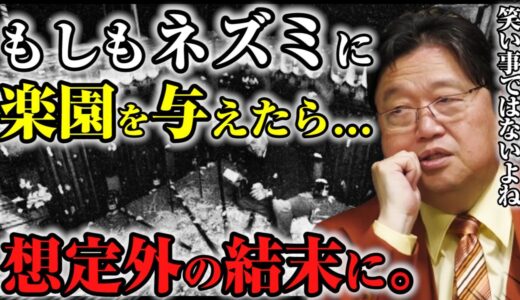 【残酷な事件】もしもネズミに楽園のような環境を与えたら  その結果●●になりました【岡田斗司夫切り抜き】